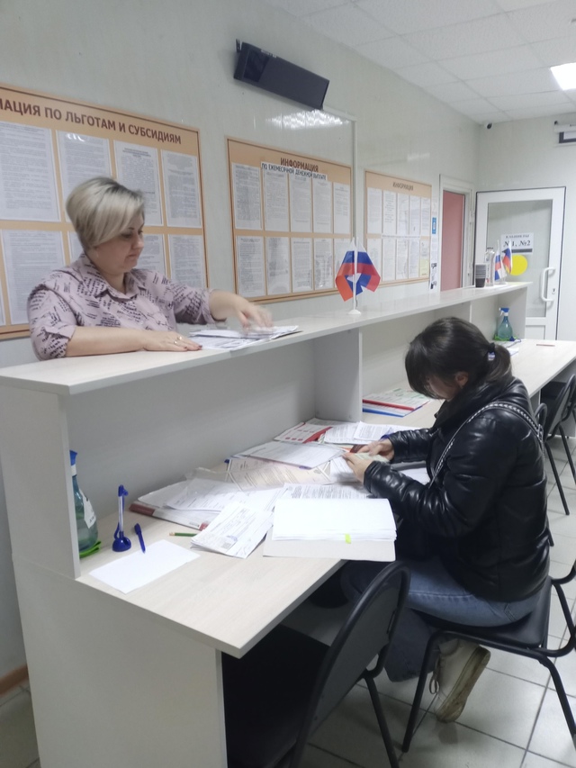 Использование средств областного материнского капитала на проведение текущего ремонта жилого посещения увеличилось в 2024 году в два раза