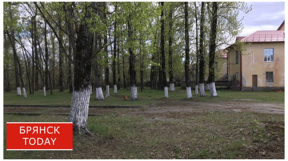 Брянцы выбирают объекты для благоустройства на 2026 год