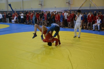 В Брянске состоялись соревнования, посвященные Всероссийскому Дню самбо