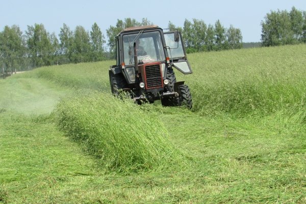 В Брасовском районе приступили к заготовке сена | Вестник