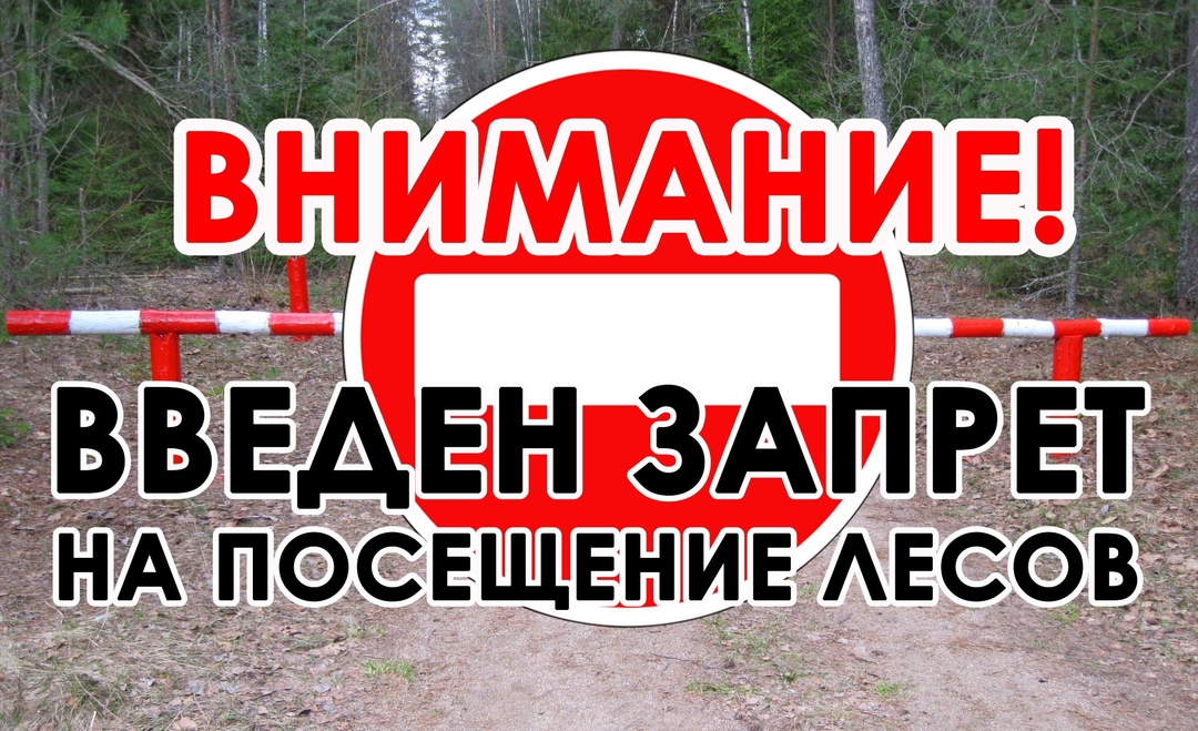 С 4 по 9 июля введено ограничение на посещение гражданами лесов и въезд в них транспортных средств