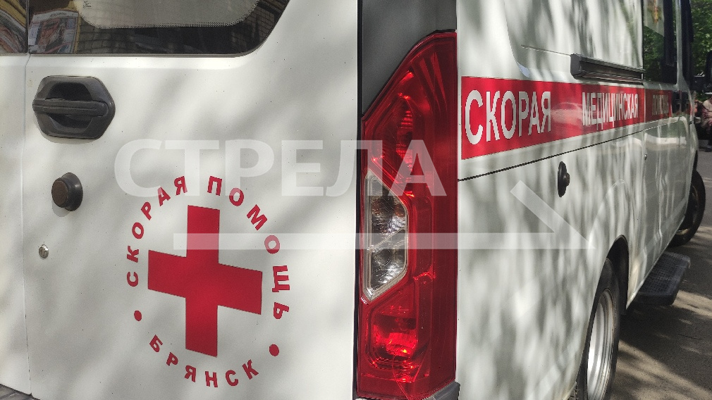 За 9 лет автопарк брянских медучреждений обновлен на 645 автомобилей