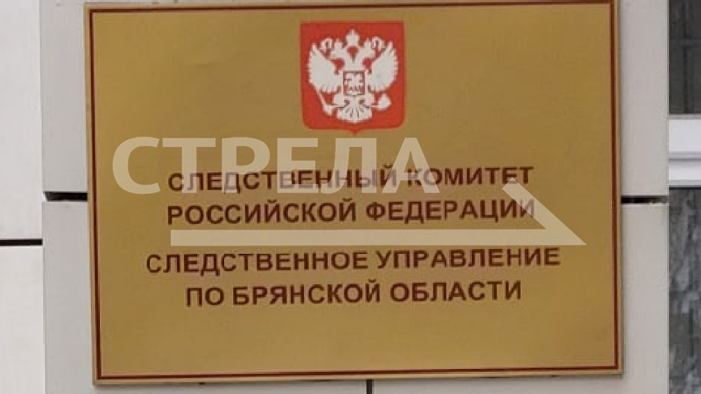 Житель Брасовского района ответит за смерть приятеля