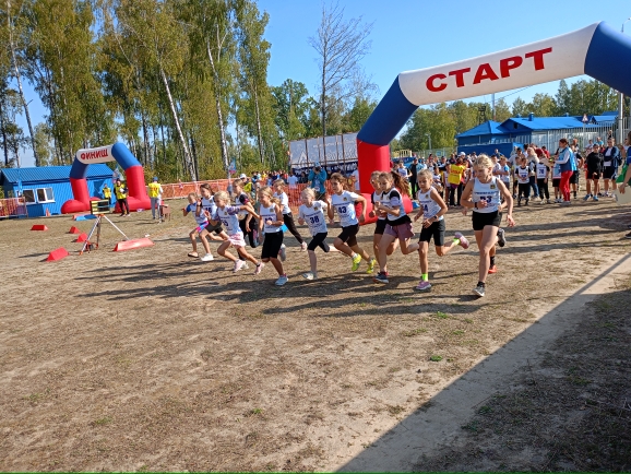 Брасовские лыжники достойно выступили на Чемпионате и Первенстве Брянской области по кроссу