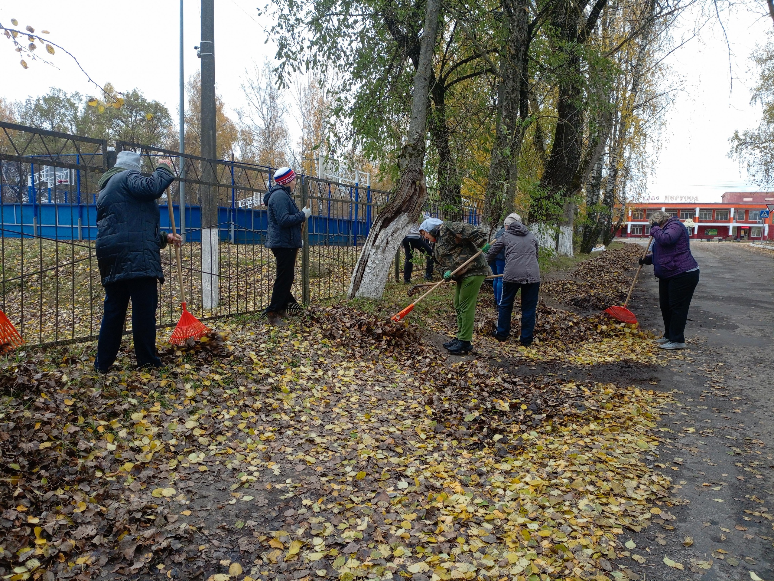 Коллектив отдела социальной защиты Брасовского района провел субботник