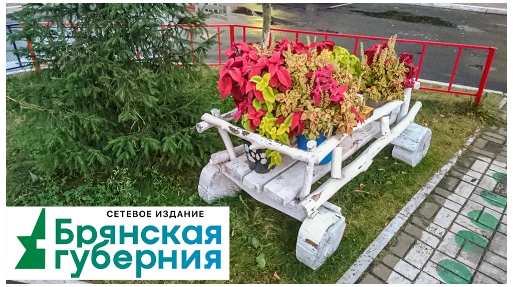 В брянской Сеще в этом году благоустроят два двора