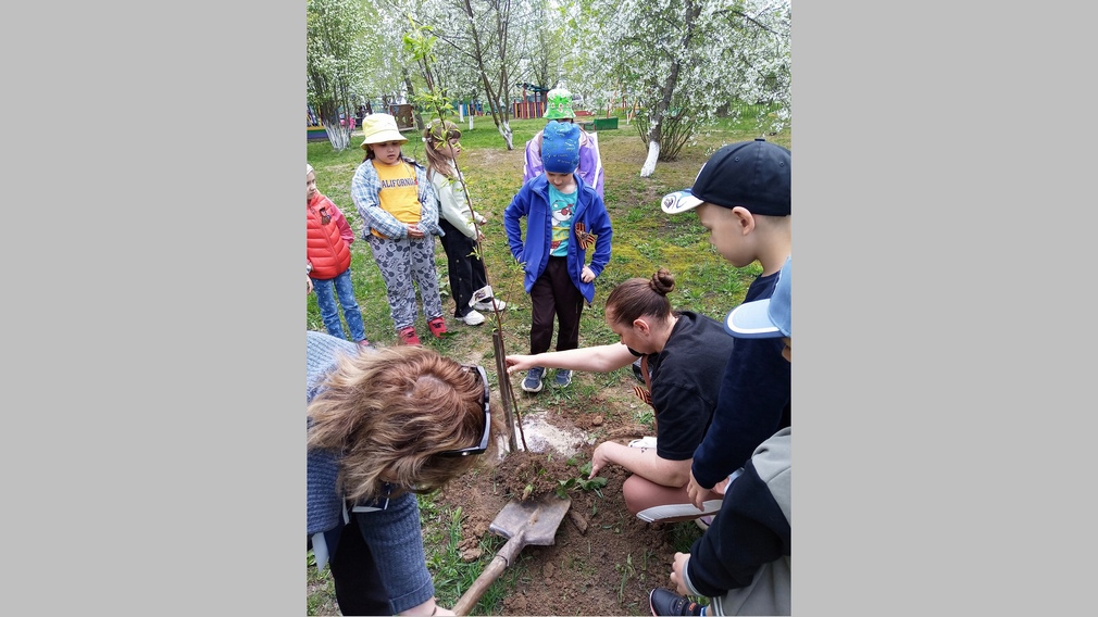 Воспитанники Локотского детского сада №2 посадили сливу на аллее выпускников