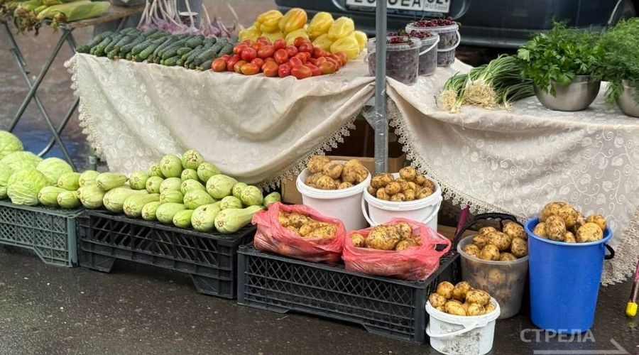В Брянске проходят ярмарки выходного дня