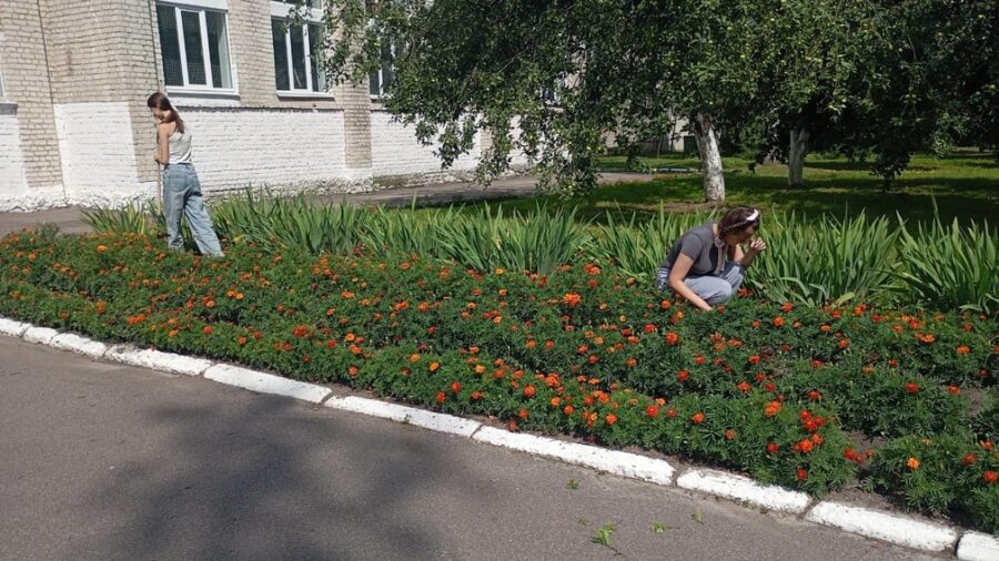 В Брасовском районе продолжается активная работа по трудоустройству подростков
