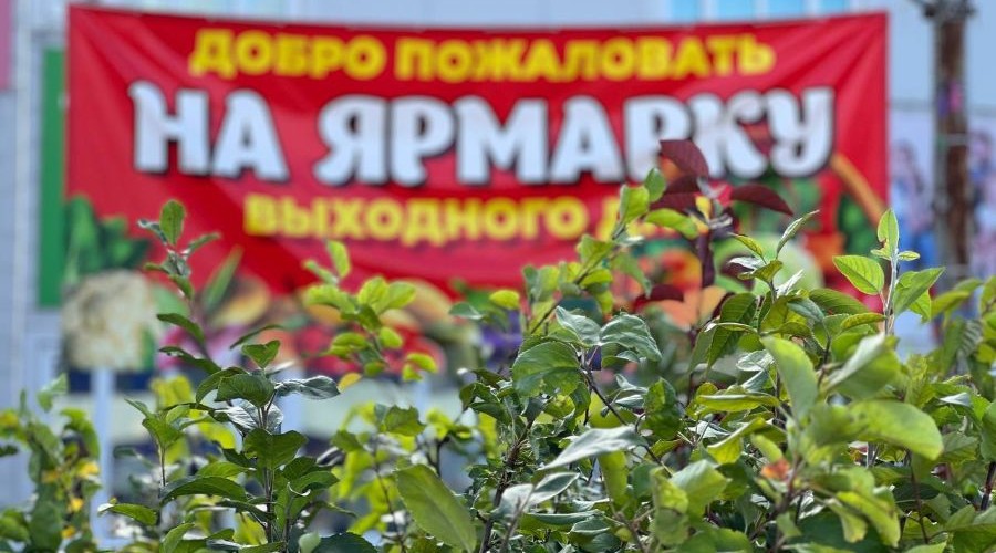 В Брянске работают традиционные сельскохозяйственные ярмарки выходного дня