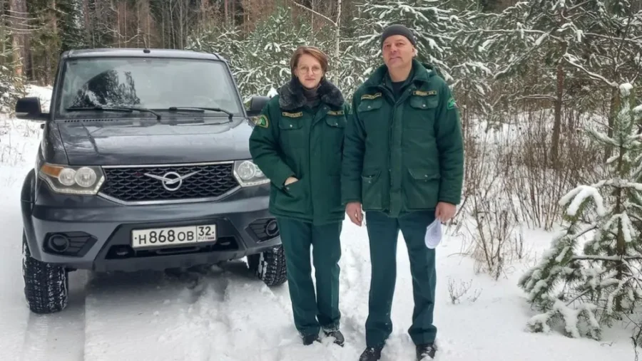 В Брянской области подвели итоги охраны новогодних елей и сосен