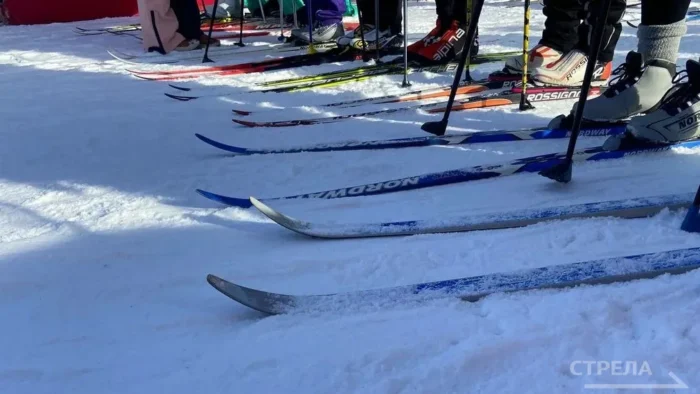 Брянцы могут зарегистрироваться для участия в «Лыжне России-2026»