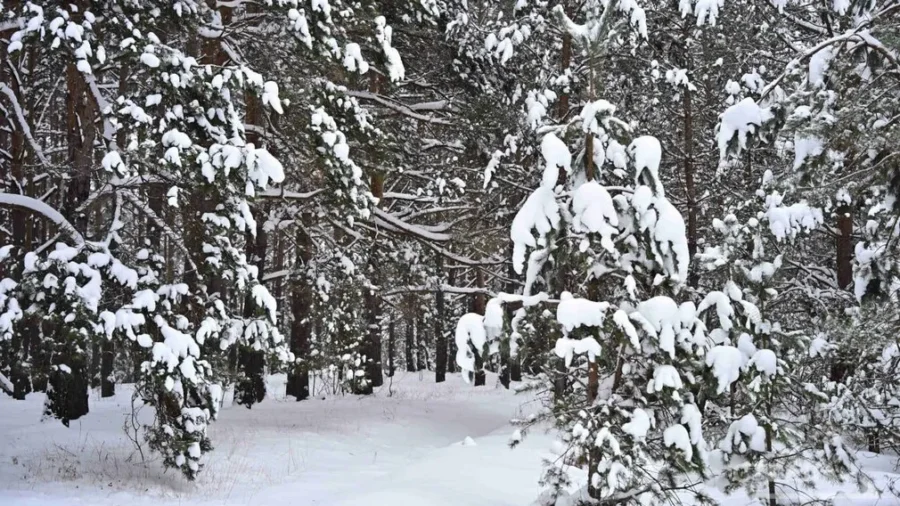 Сегодня брянцы отмечают Крещенский сочельник