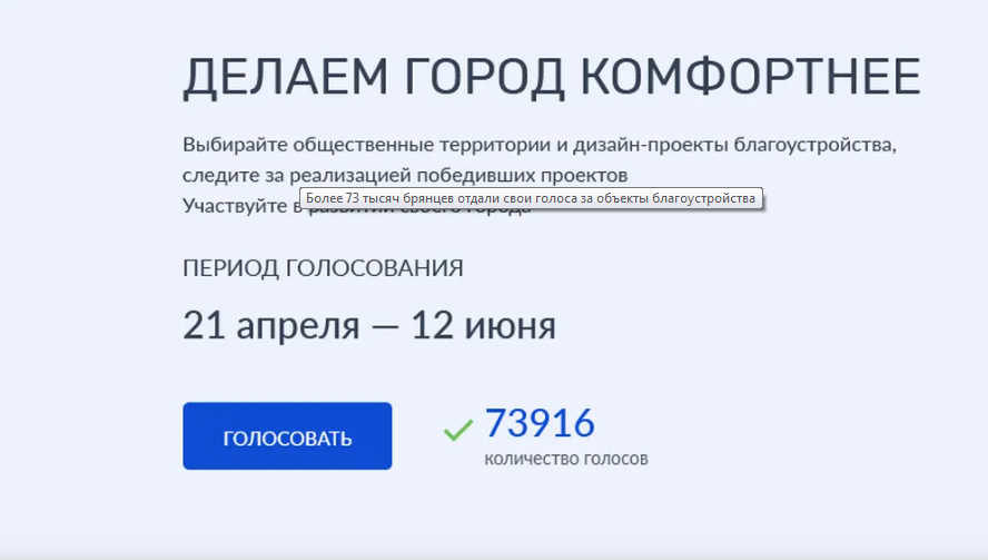 Более 73 тысяч брянцев отдали свои голоса за объекты благоустройства