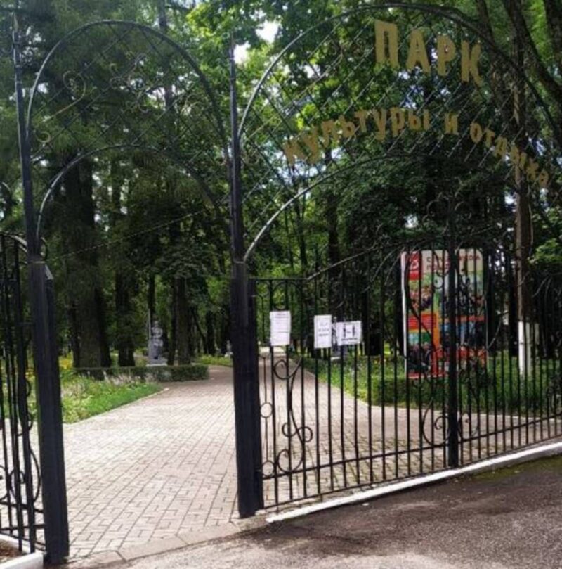 Брасовцев приглашают принять участие в онлайн-голосовании