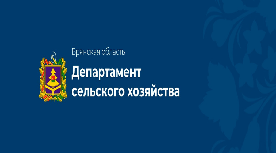 Программа поддержки молодых специалистов и квалифицированных рабочих в АПК Брянской области