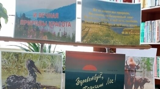 В библиотеке имени Н.И. Родичева прошел обзор выставки «И вечная природы красота»