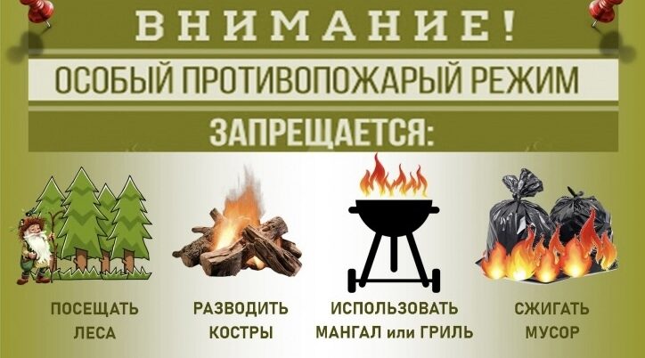 На территории ГКУ «Брасовское лесничество» введен особый противопожарный режим