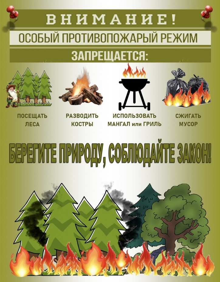 На территории ГКУ «Брасовское лесничество» введен особый противопожарный режим