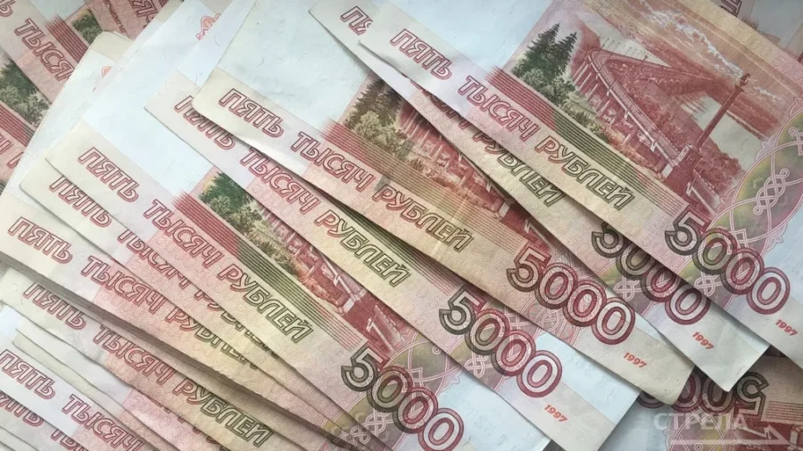 В Брянской области для семей с детьми предусмотрен областной материнский капитал