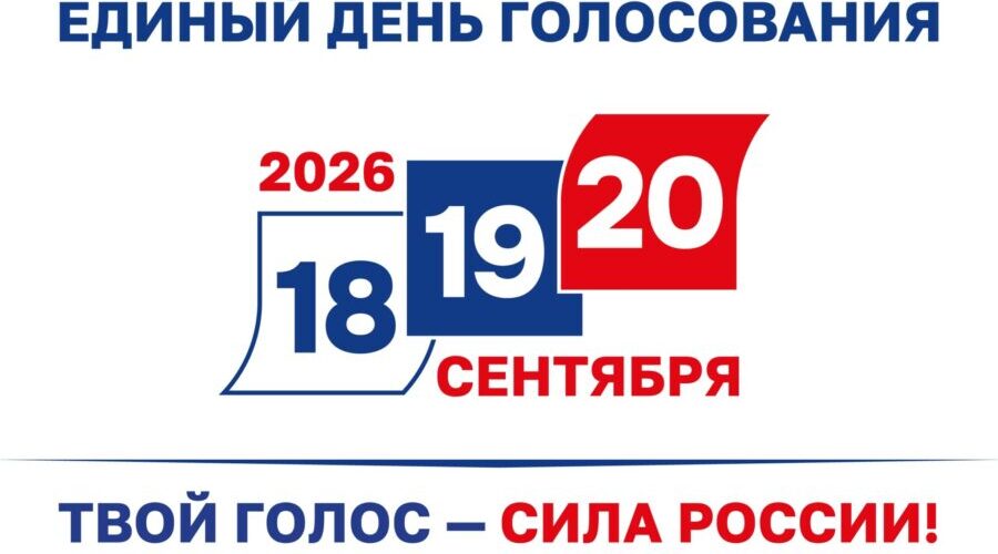 Брянцы могут голосовать по-разному