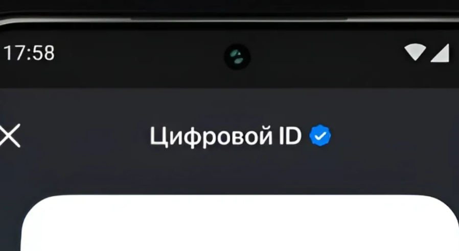 Покупателям из Брянска рассказали, как использовать Цифровой ID в MAX
