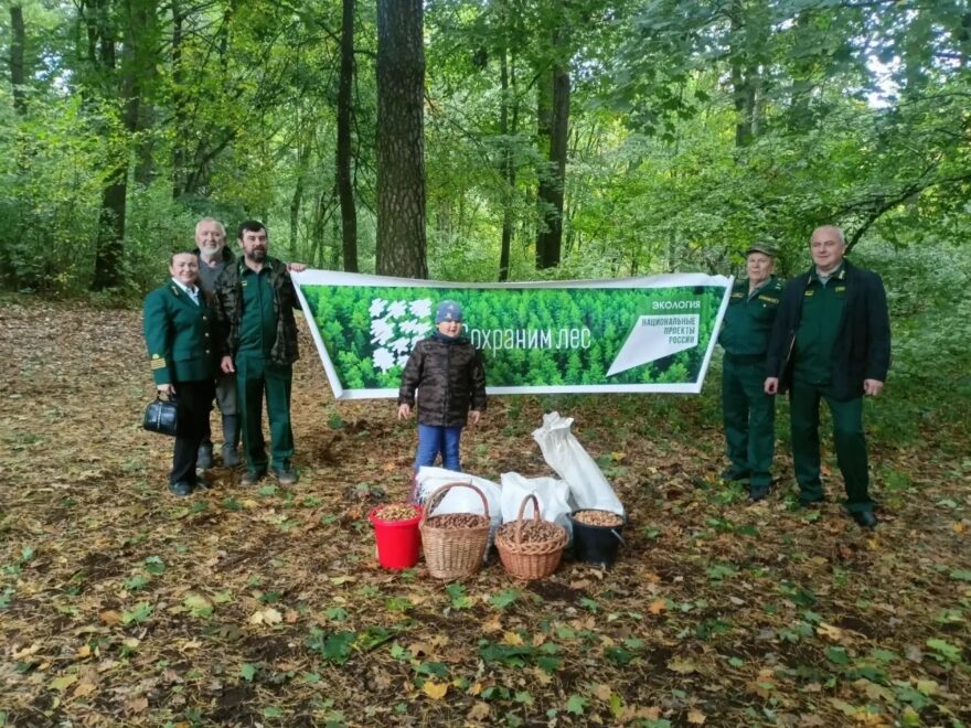 В Брасовском районе собрали 200 килограммов желудей