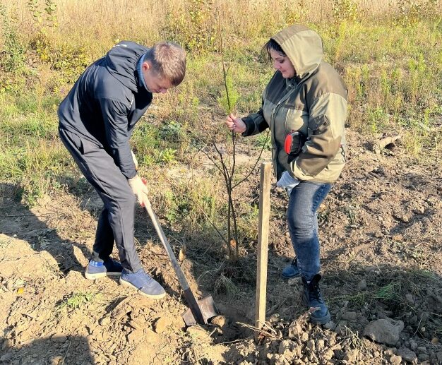 В Севске посадили 80 лип в честь 880‑летия города